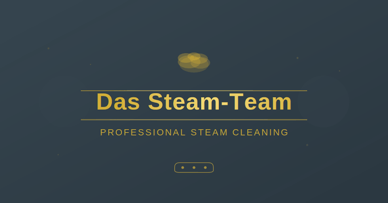 Das Steam-Team Logo